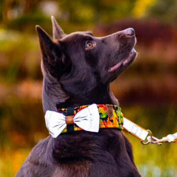 Heijastinrusetti S-L